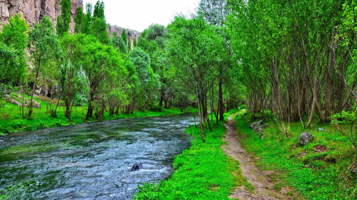 Golden Valley Tourism Cappadocia